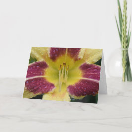 Lily, tarjeta
