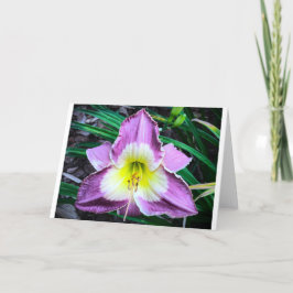 Lily, tarjeta