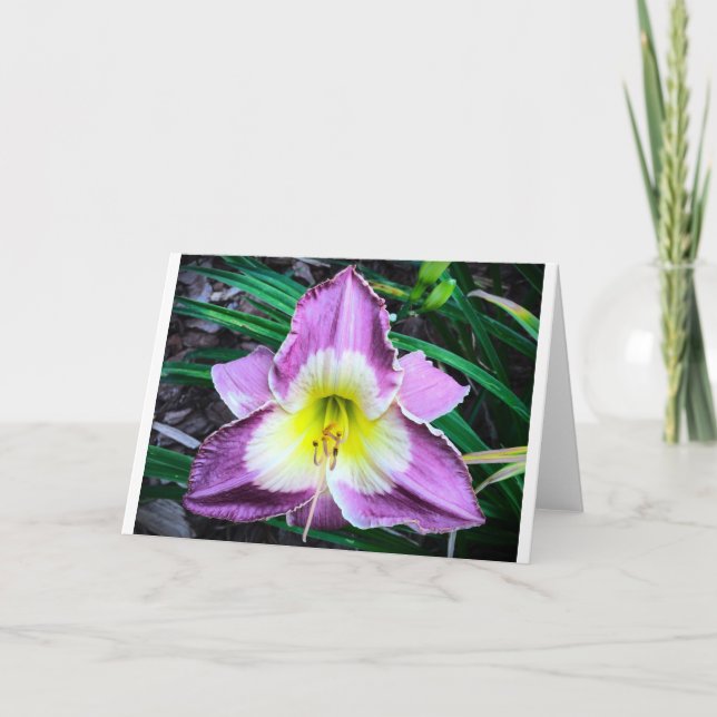 Lily, tarjeta (Anverso)