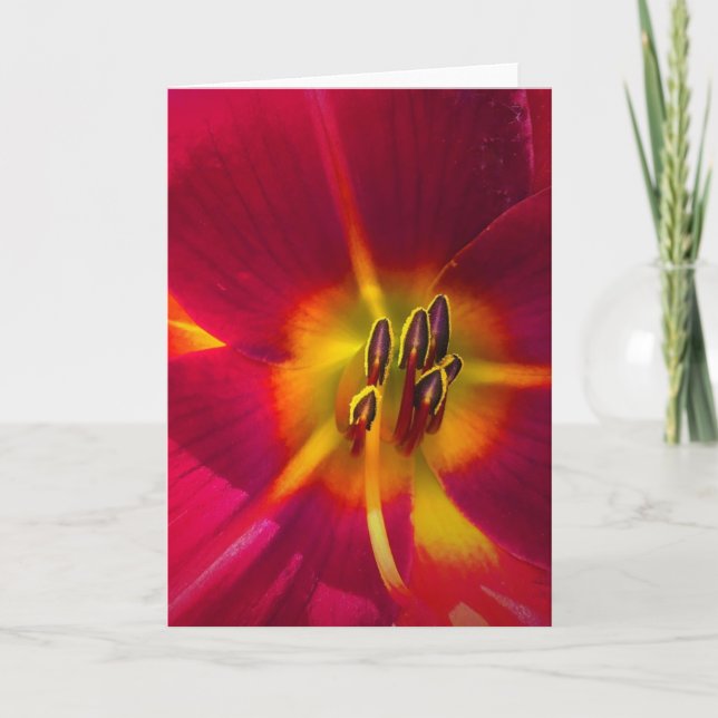 Lily, tarjeta (Anverso)