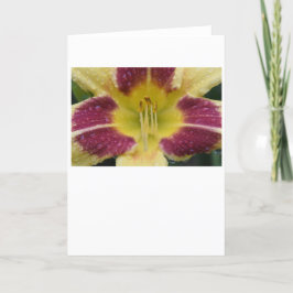 Lily, tarjeta