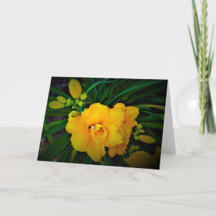 Lily, tarjeta