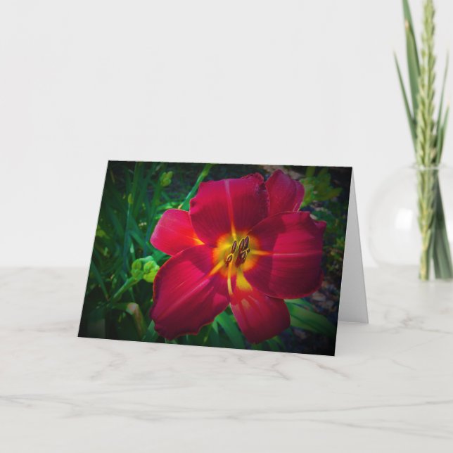 Lily, tarjeta (Anverso)