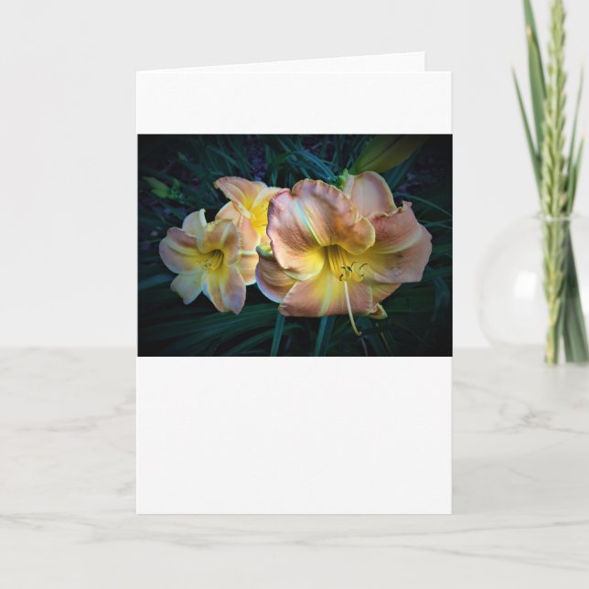 Lily, tarjeta (Anverso)