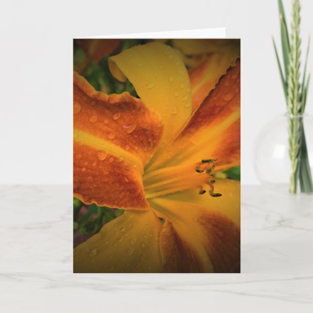 Lily, tarjeta (Anverso)