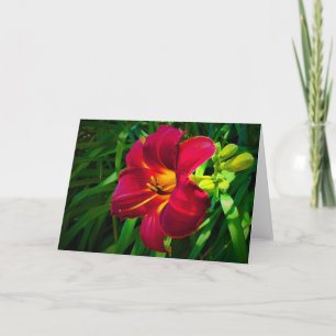 Lily, tarjeta