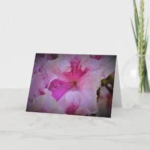 Lily, tarjeta