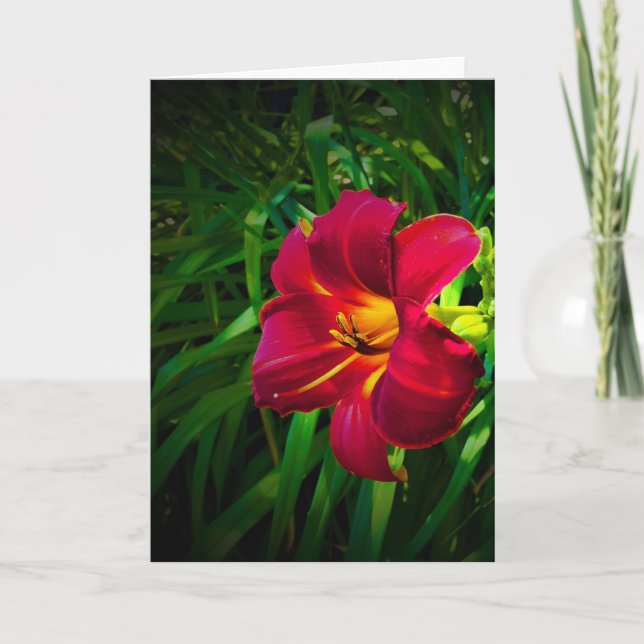 Lily, tarjeta (Anverso)