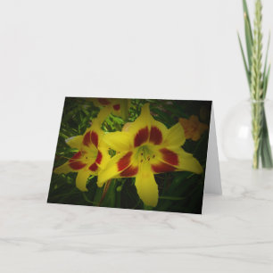 Lily, tarjeta