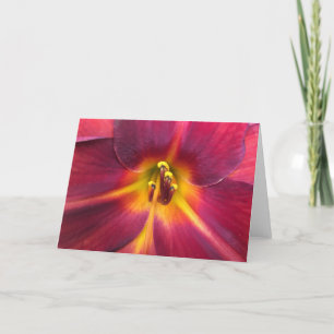 Lily, tarjeta