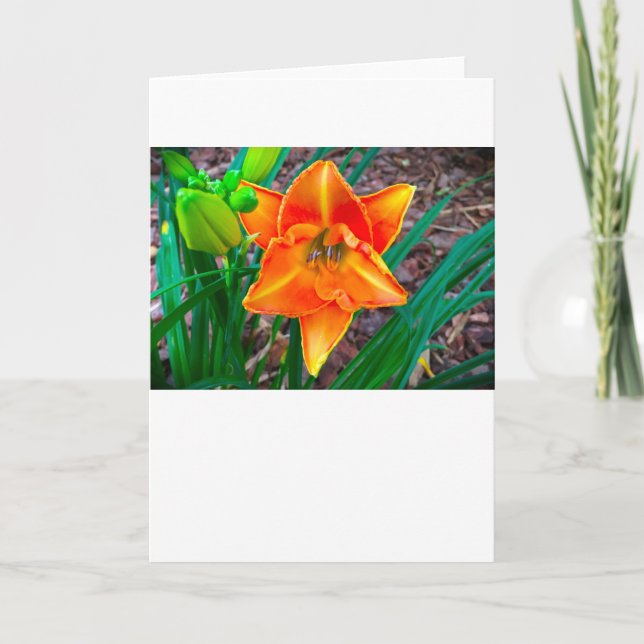 Lily, tarjeta (Anverso)