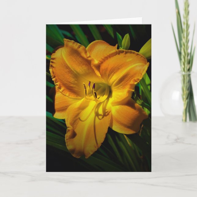 Lily, tarjeta (Anverso)