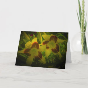 Lily, tarjeta