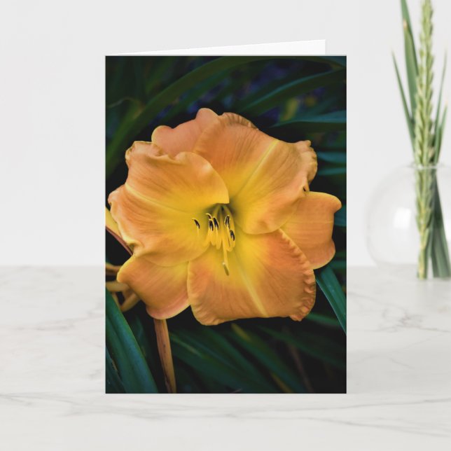 Lily, tarjeta (Anverso)