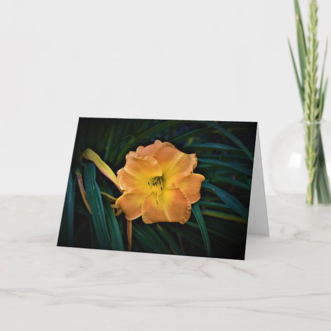 Lily, tarjeta (Anverso)