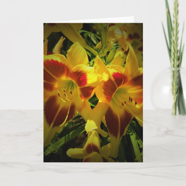Lily, tarjeta (Anverso)