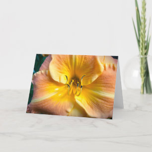 Lily, tarjeta