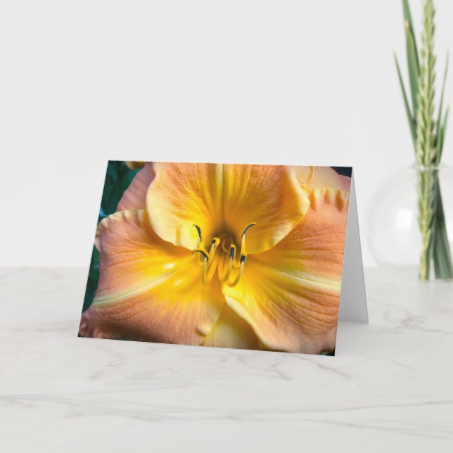 Lily, tarjeta (Anverso)