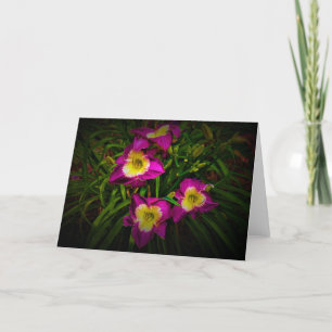Lily, tarjeta