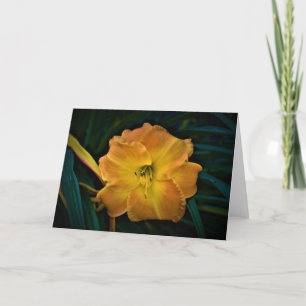 Lily, tarjeta