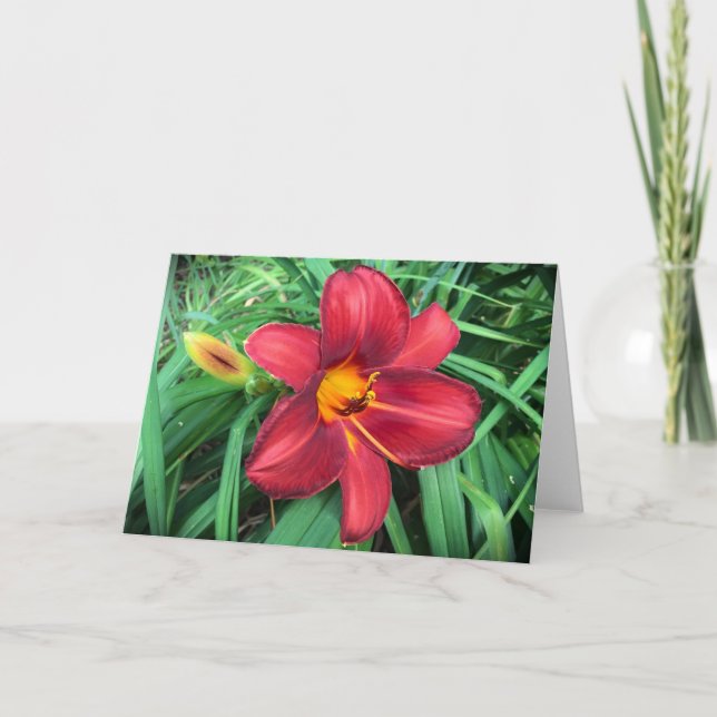 Lily, tarjeta (Anverso)