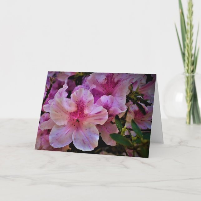 Lily, tarjeta (Anverso)