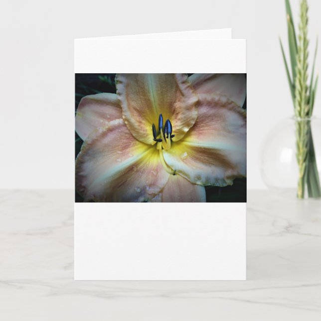 Lily, tarjeta (Anverso)