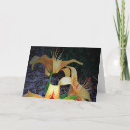 Lily, tarjeta
