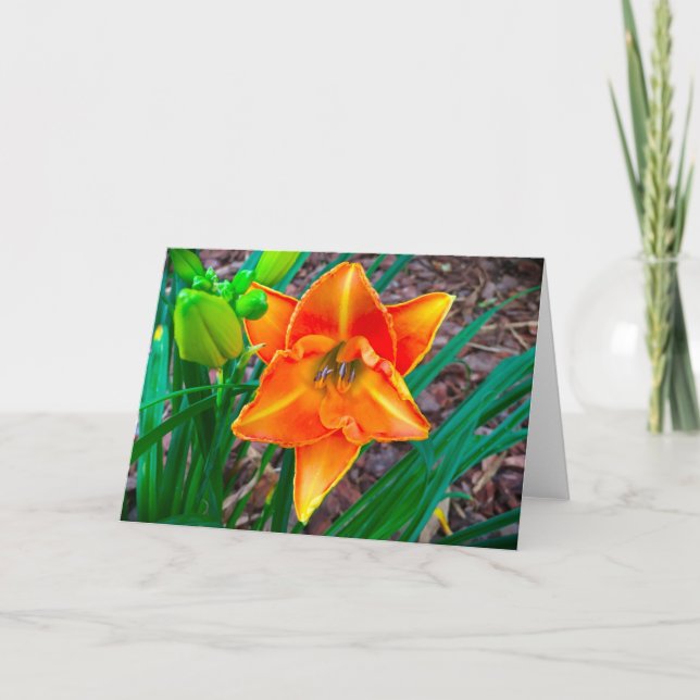 Lily, tarjeta (Anverso)