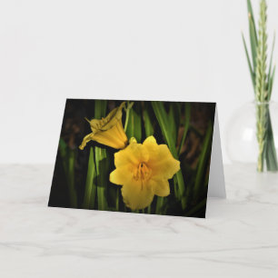 Lily, tarjeta