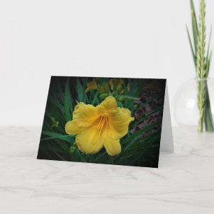 Lily, tarjeta