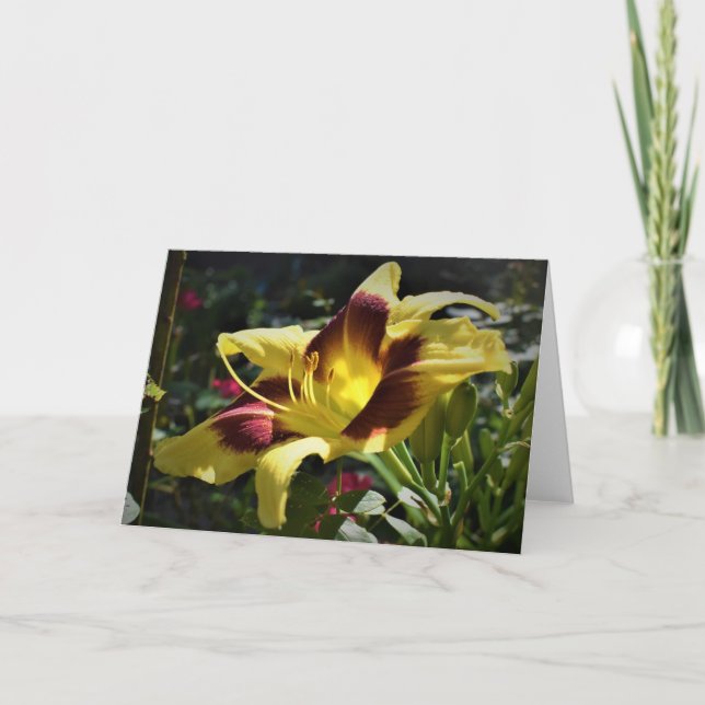 Lily, tarjeta (Anverso)