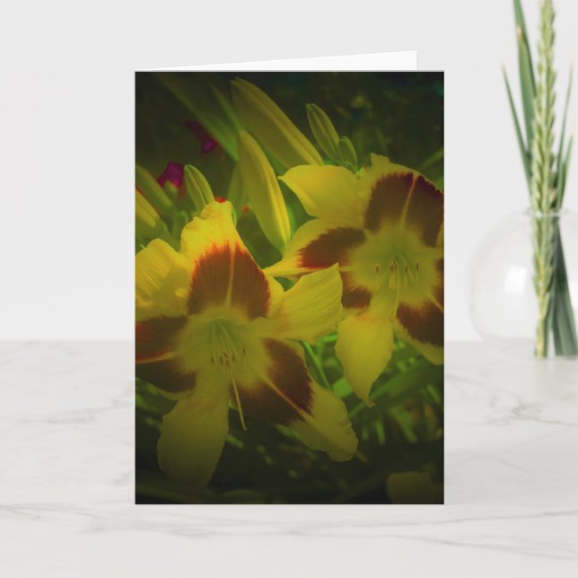 Lily, tarjeta (Anverso)
