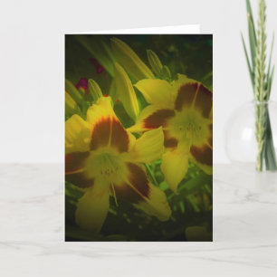 Lily, tarjeta