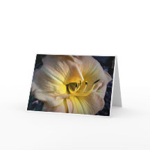 Lily, tarjeta