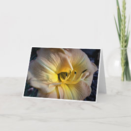 Lily, tarjeta