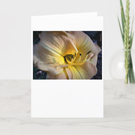 Lily, tarjeta