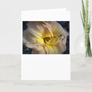 Lily, tarjeta