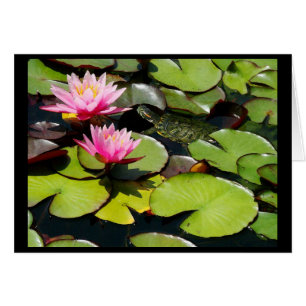 Lilypad de estanque y tarjeta de tortuga