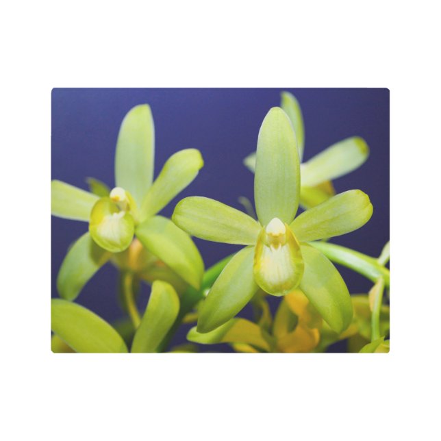 Lime Green Orchids Arte Metalizado (Anverso)