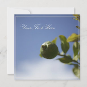 Lime verde limón tu tarjeta plana de texto