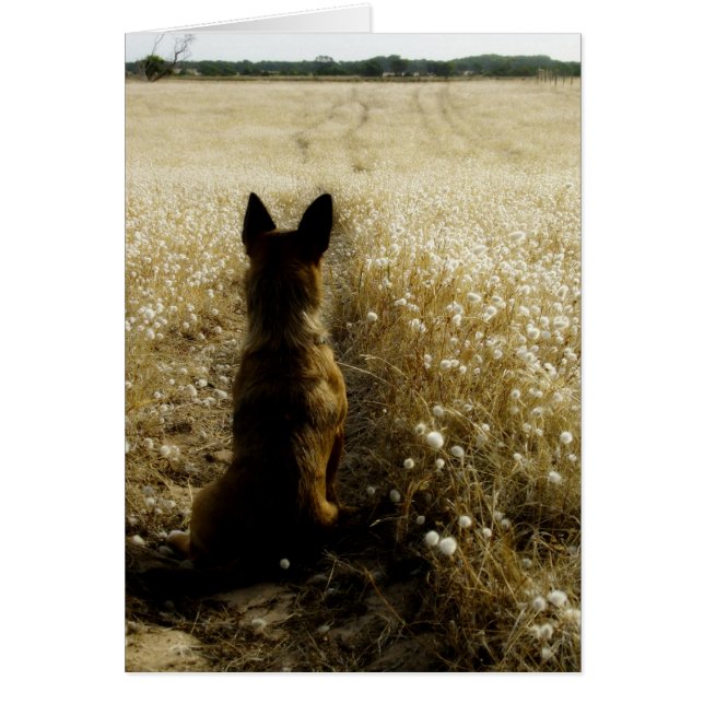 Límite de regreso (Frente)