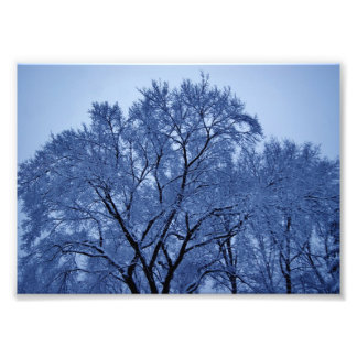 Límites externos Impresión fotográfica 7x5