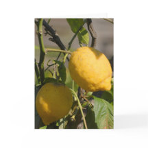 Limón español en las tarjetas de felicitación de l