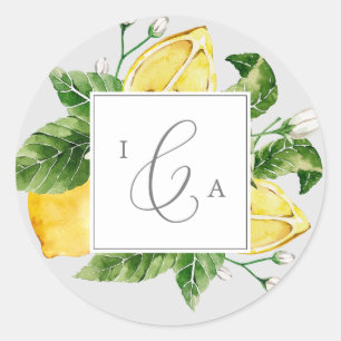 Limón moderno Sello para sobres de monograma gri