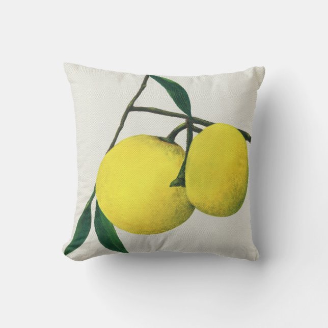 Limones del amortiguador del arte - almohada de (Anverso)