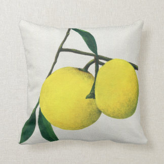 Limones del amortiguador del arte - almohada de