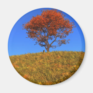 Limpiar el imán del día de otoño