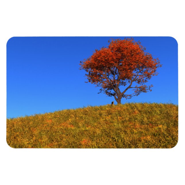 Limpiar imán flexible de otoño (Horizontal)