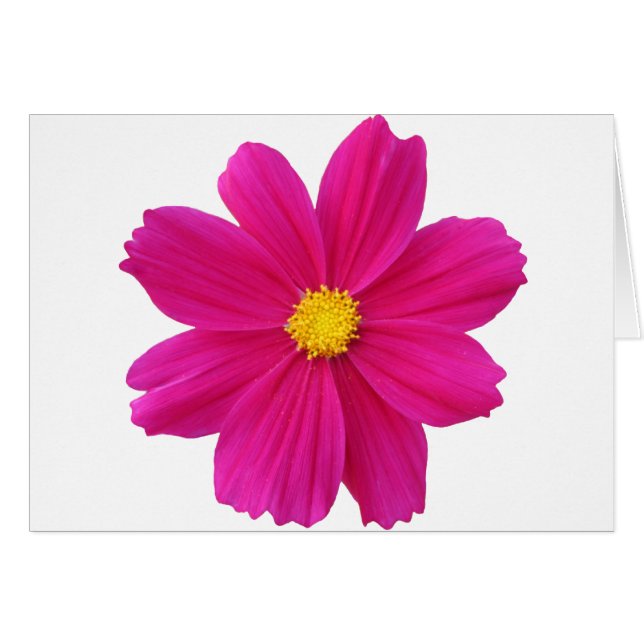 Limpiar.png (Anverso (Horizontal))